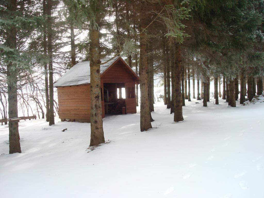 Guest House Šumski dvor Vrhovine Extérieur photo